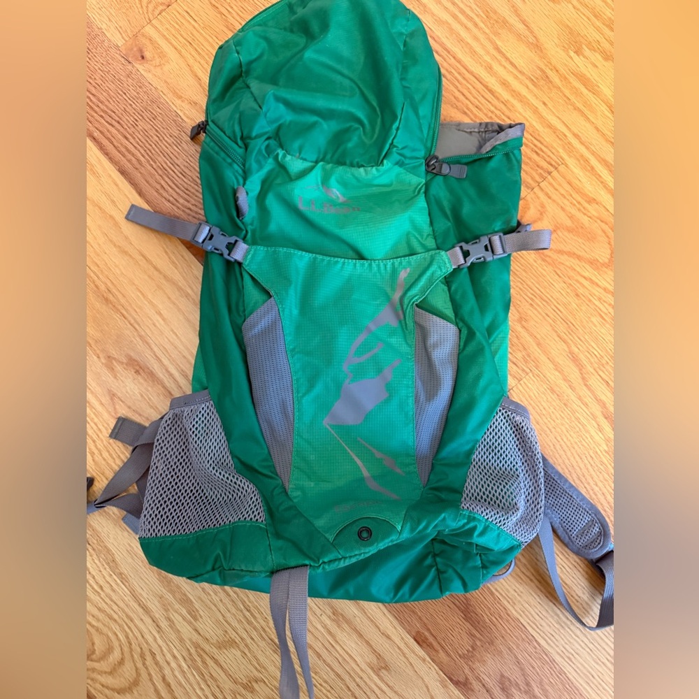 L.L. Bean Green and Gray Backpack